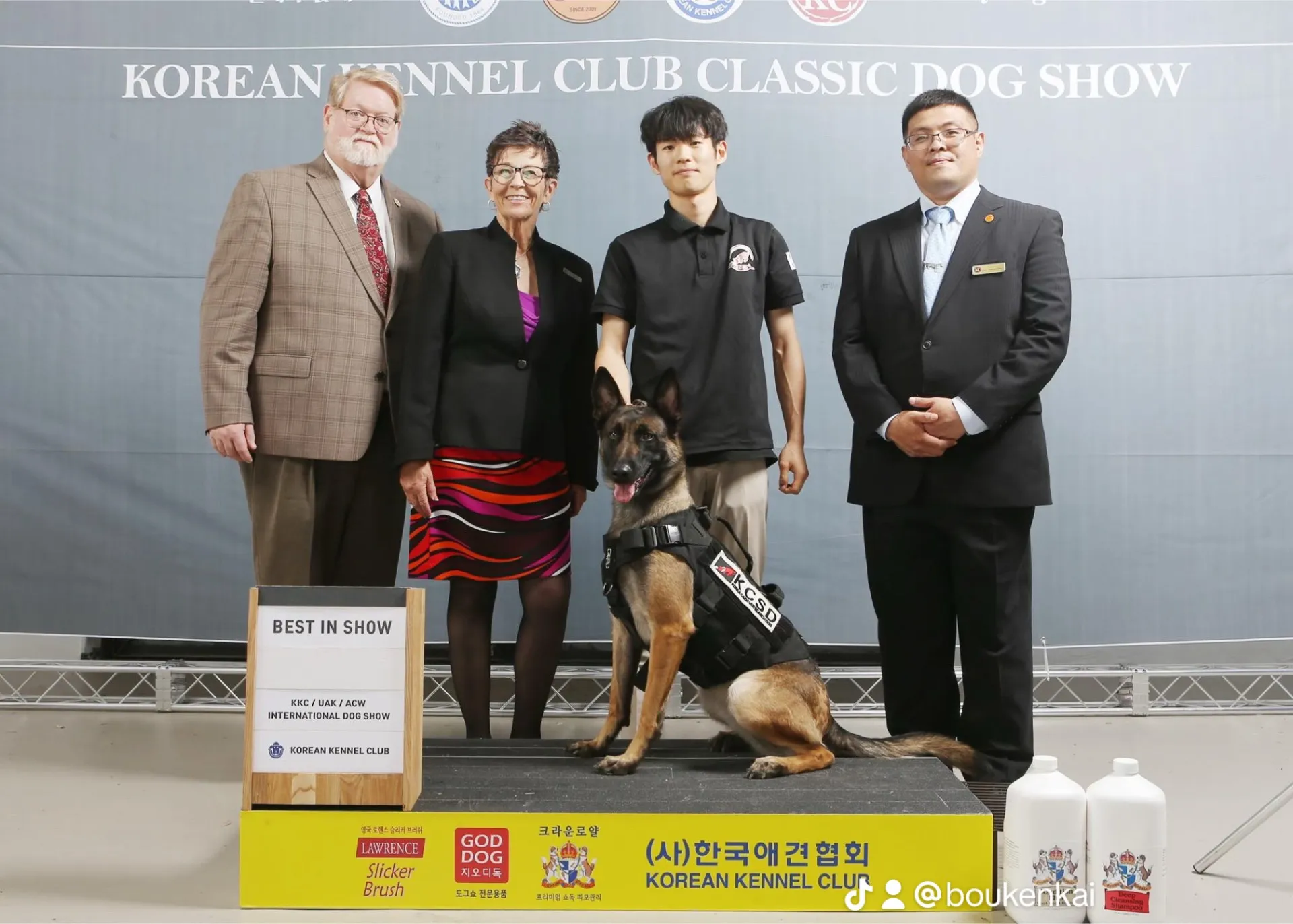 韓国にて全犬種審査員として派遣されました。